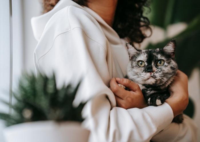 woman-holding-cat-compressed