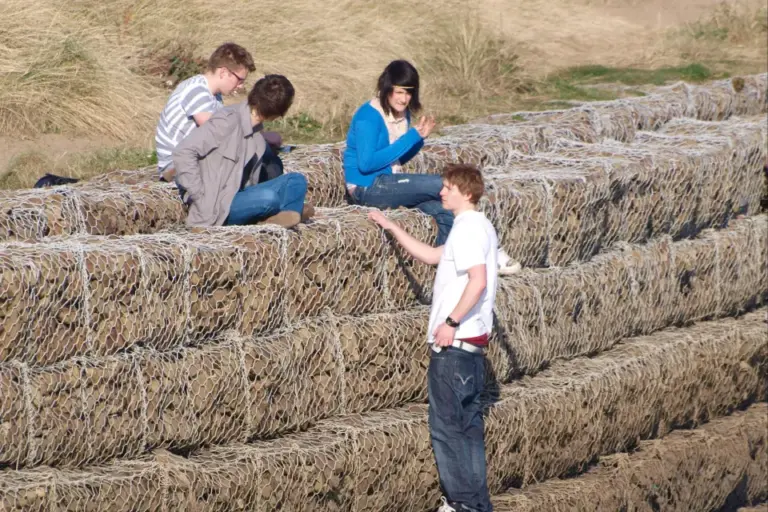 1348db37-70d4-471d-9461-fe0cace710ec