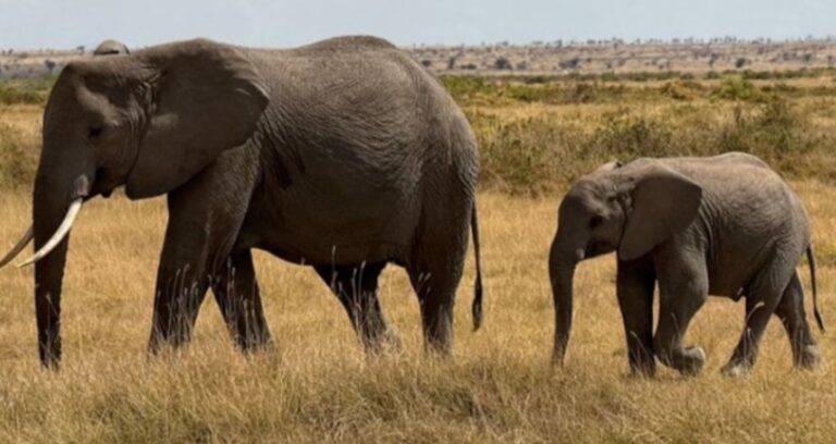 Screenshot_20251031_174852_Facebook