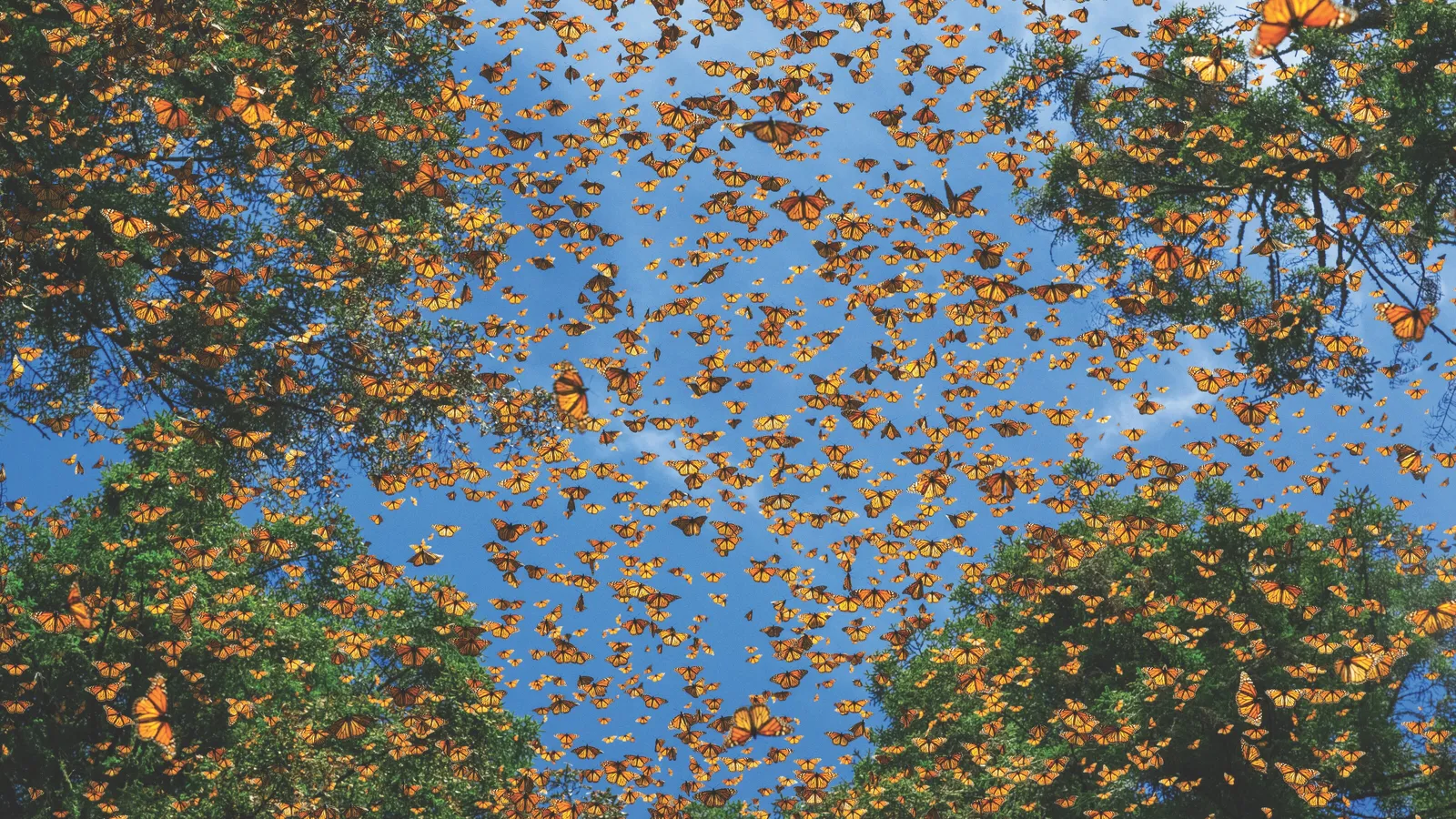 ngs-73252s-202302240045063