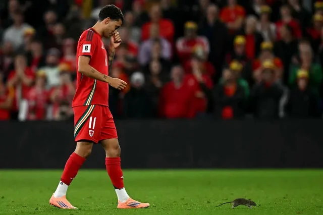 play-had-to-be-halted-in-the-wales-vs-belgium-match-because-v0-i15tthufayuf1