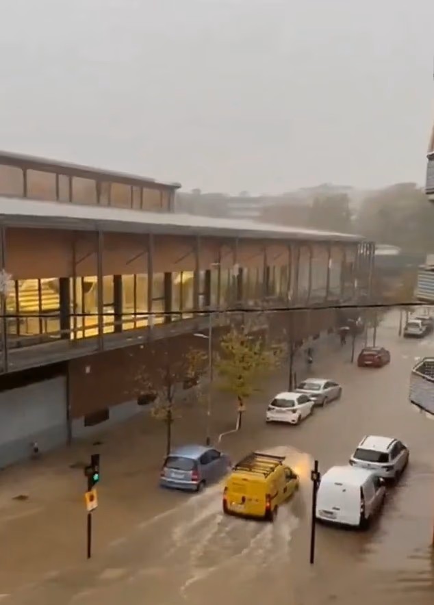 103647269-15264519-image-m-25_1762430314533