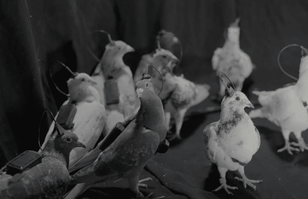 4d6ec4c184d45c0b66db6bea4f38515e