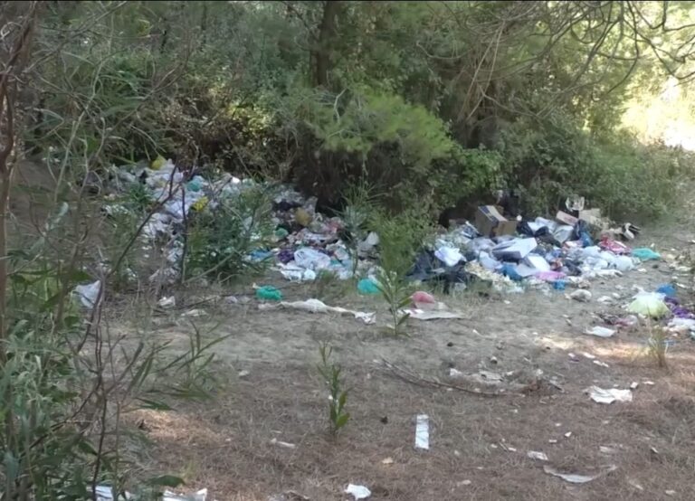 5f7384a170d63pylli sodes (4)