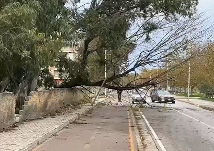 -900-0-1763454311xuhhhhhhhhhhhh-sd-704