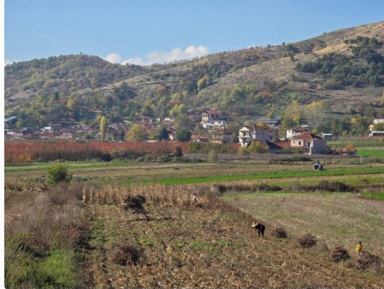 Screenshot_20251102_194153_Facebook