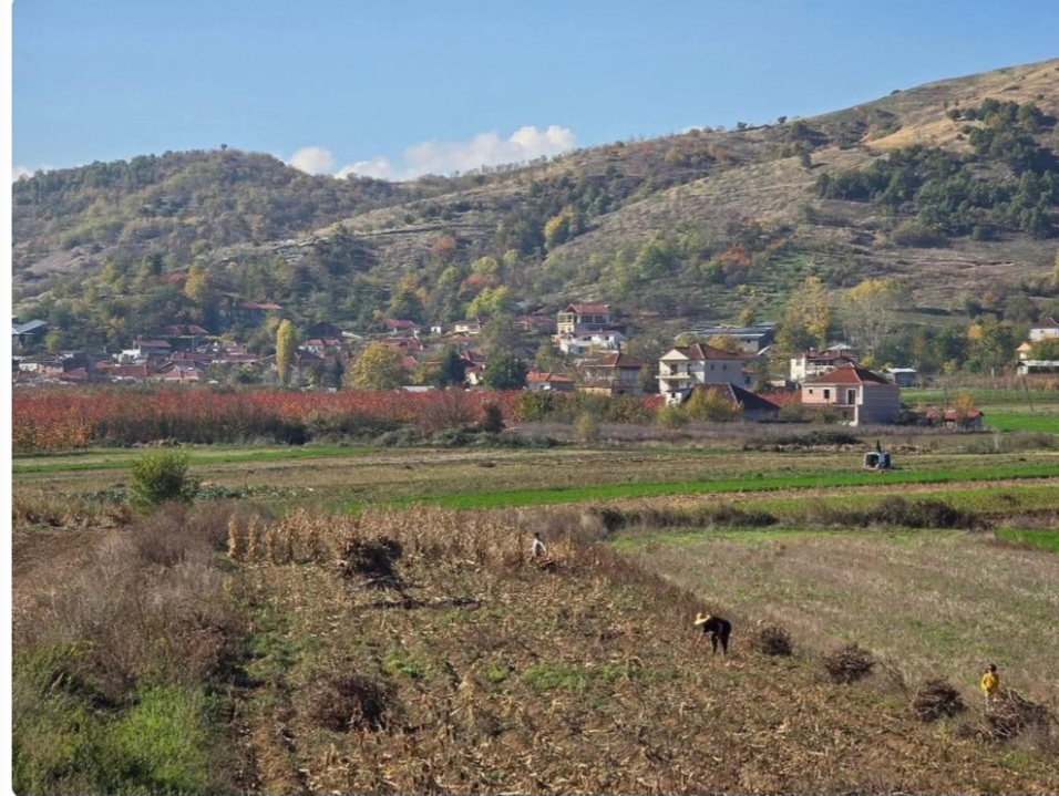 Screenshot_20251102_194153_Facebook