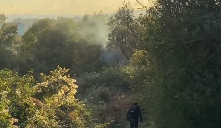 Screenshot_20251111_172042_Facebook