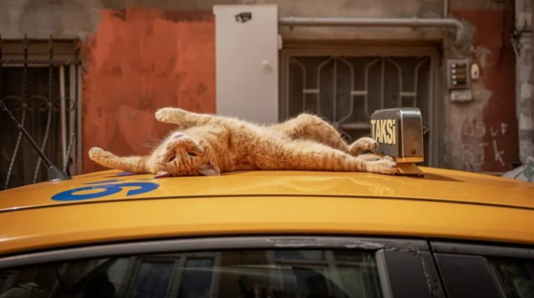 Screenshot_20251120_200516_Facebook