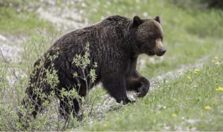 Screenshot_20251121_211910_Facebook