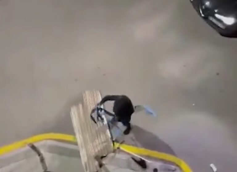 Screenshot_20251126_230416_Facebook