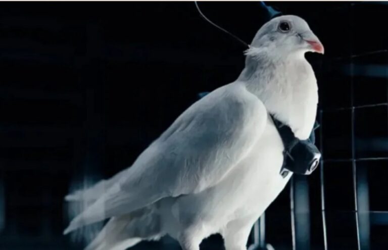 Screenshot_20251128_203411_Facebook