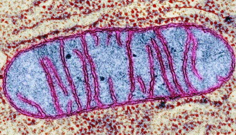 1385397_110357_updates