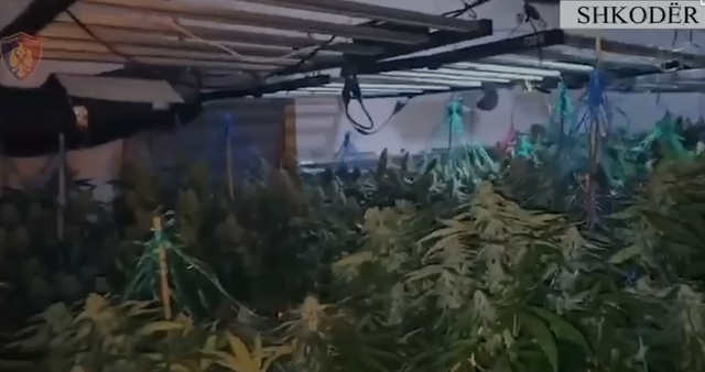 -640-0-screenshot-2025-12-24-093126-1766565092