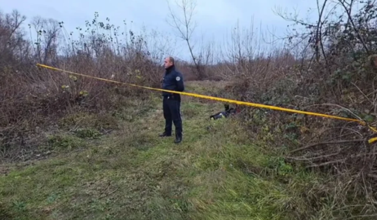 -900-0-1765129443xscreenshot-3-1-752x440-235