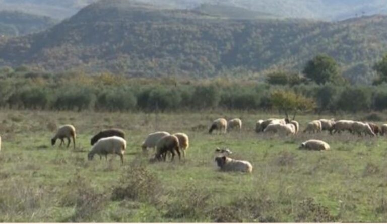 Screenshot_20251205_141742_Facebook