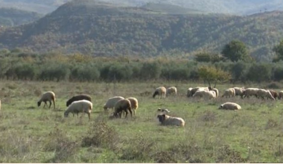 Screenshot_20251205_141742_Facebook