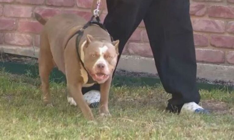 Screenshot_20251206_145924_Facebook