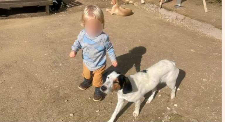 Screenshot_20251209_201752_Facebook