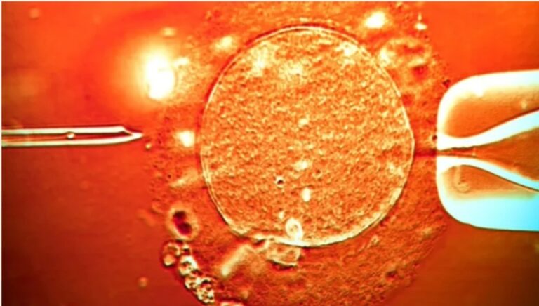 Screenshot_20251210_170849_Facebook