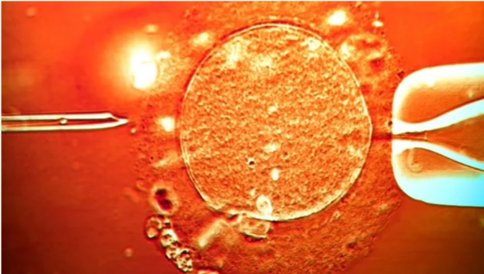 Screenshot_20251210_170849_Facebook