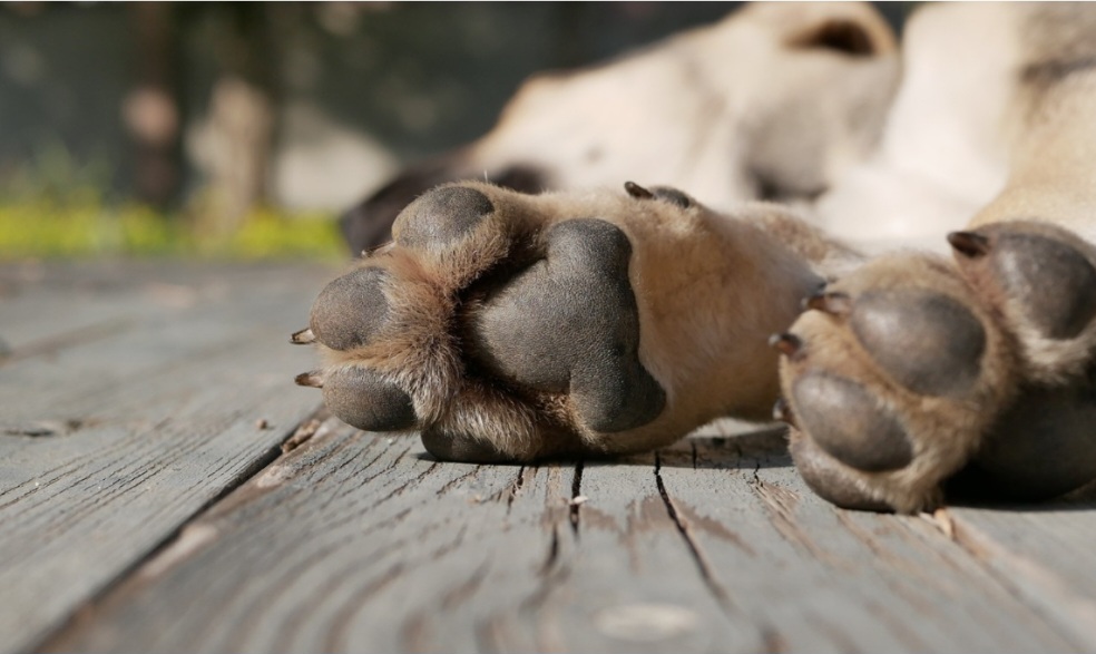 Screenshot_20251211_113630_Facebook