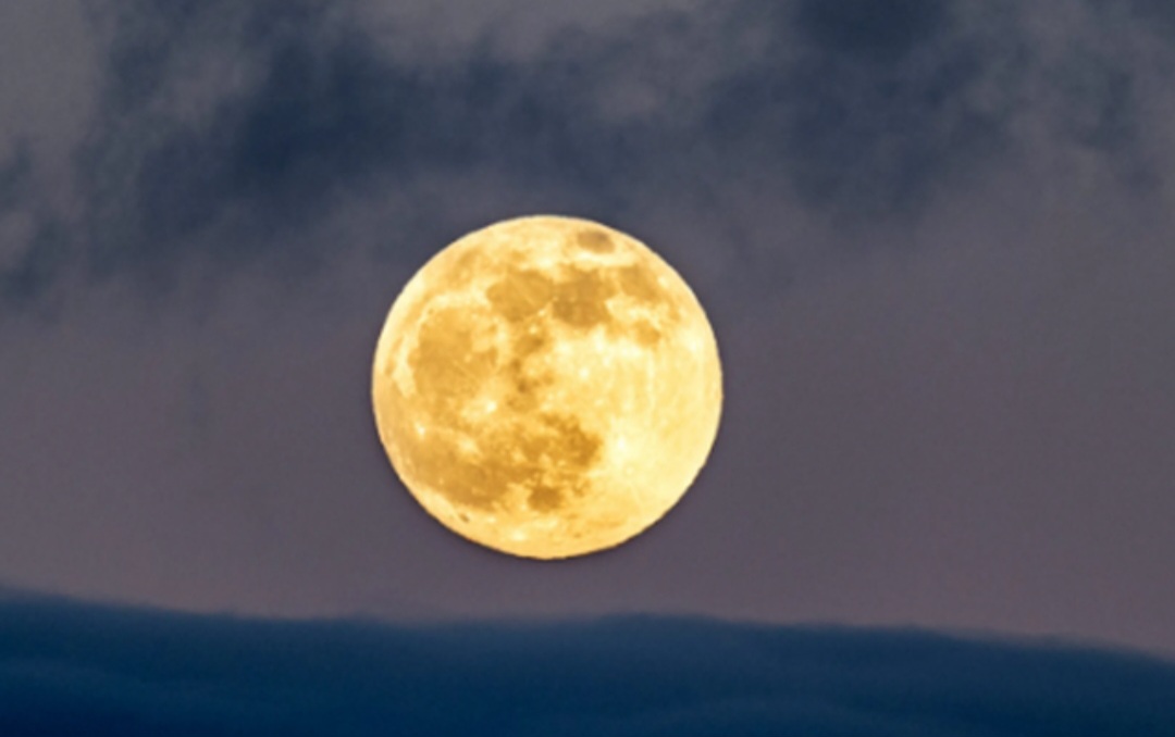 Screenshot_20251213_163643_Facebook