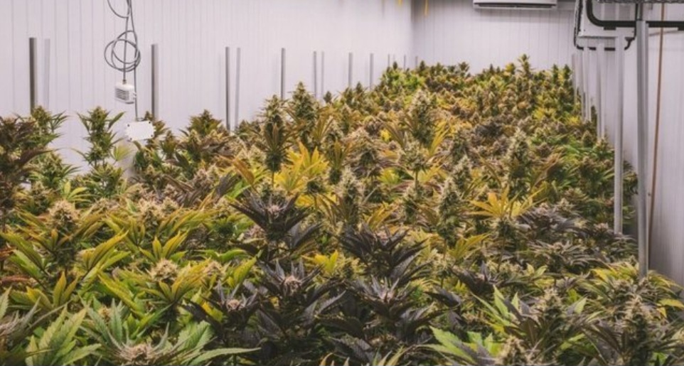 Screenshot_20251219_223847_Facebook