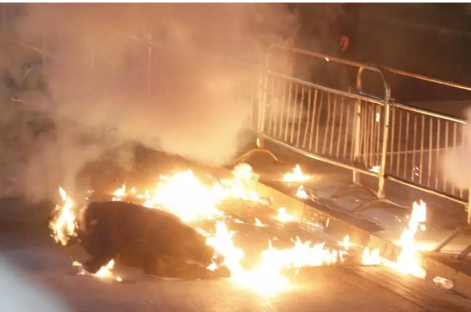 Screenshot_20251222_220331_Facebook