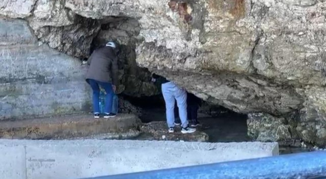 Screenshot_20251228_121138_Facebook