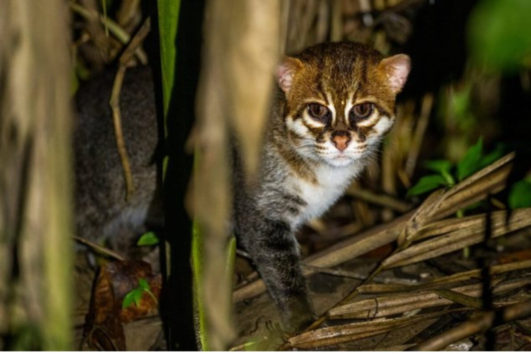 Screenshot_20251228_225145_Facebook