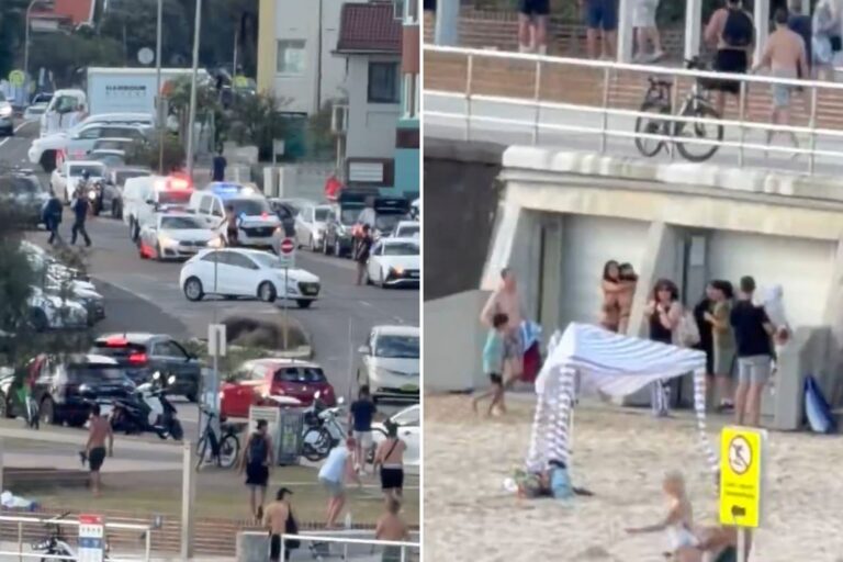 newspress-collage-70my80ihe-1765700053327