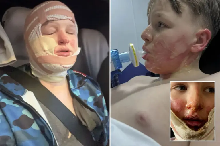 newspress-collage-i5xokoh0y-1765963695352