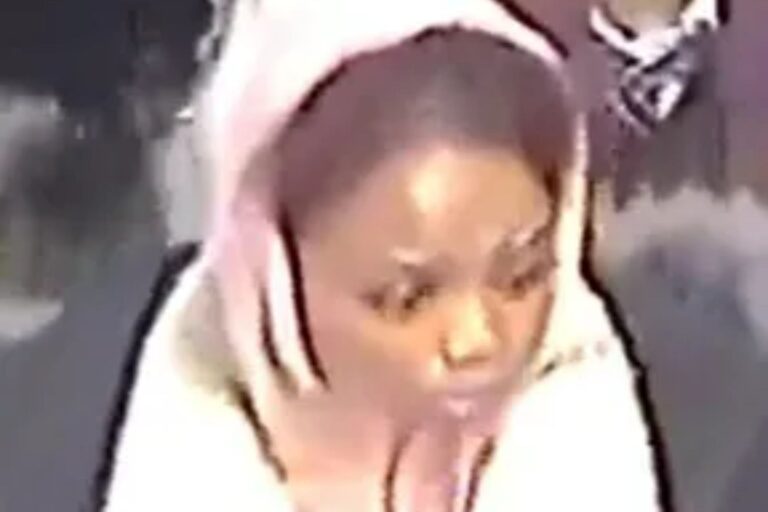 newspress-collage-xazit0v1x-1766069003994