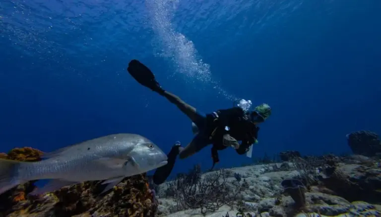 1388721_113203_updates