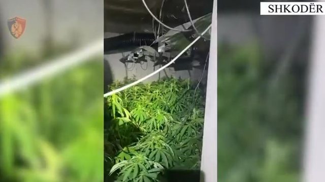 -640-0-e8dc0f585f181f52d4c6cabdec0cca0d