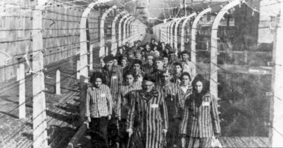 6497d5a3-f0e6-45d3-ab49-62fece7a7547_w408_r1_s