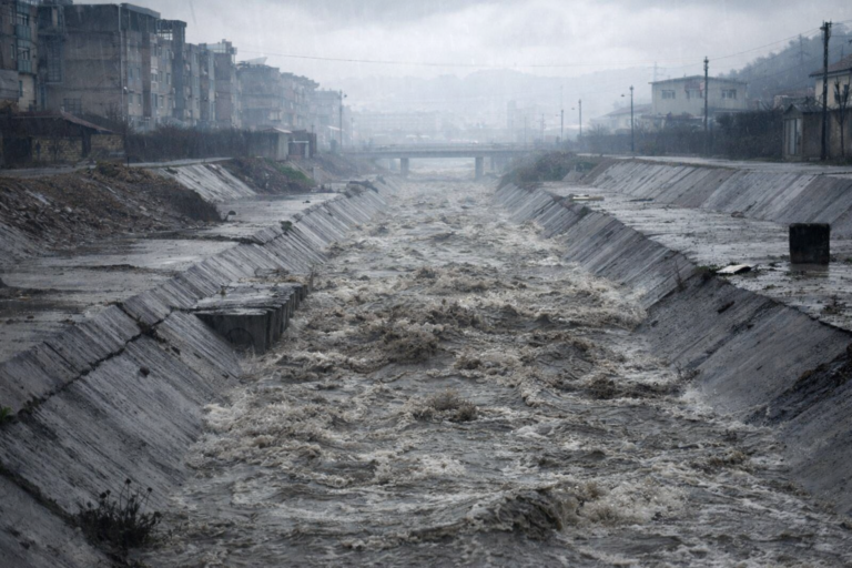 8fce99a5-db9c-42c4-9e98-90bcf5a9ad83