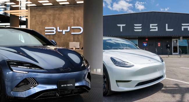 BYD_TESLA