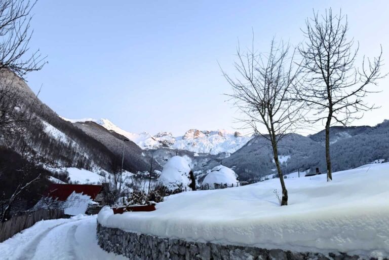 Blog-landscape-2025-09-18T101130.602