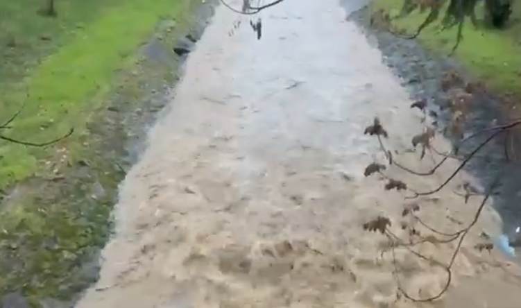 Screenshot 2026-01-07 081920