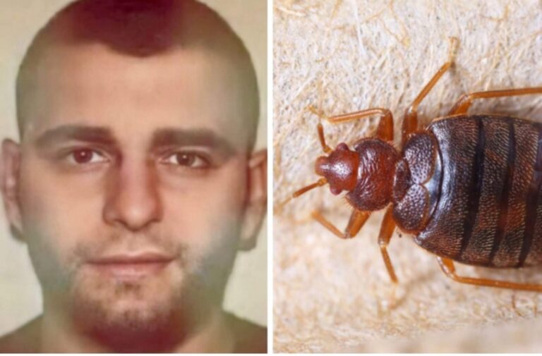 Screenshot_20260112_212702_Facebook