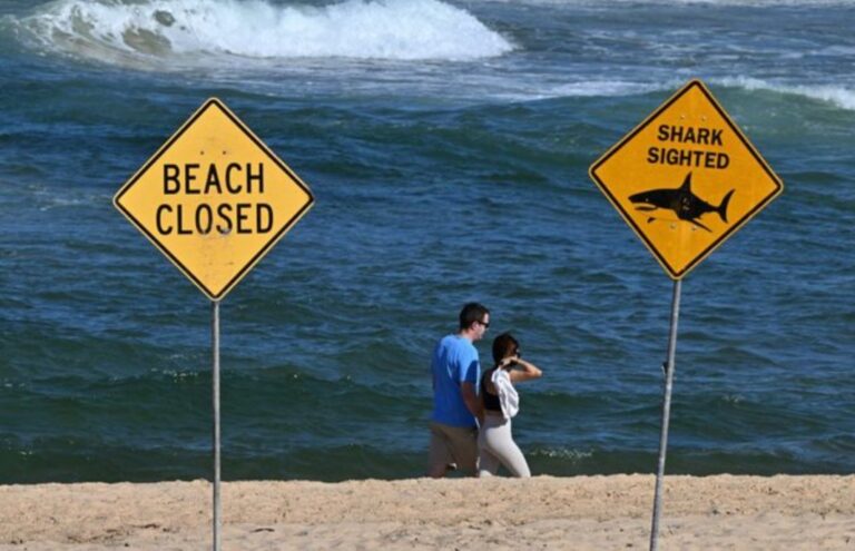 Screenshot_20260124_222943_Facebook