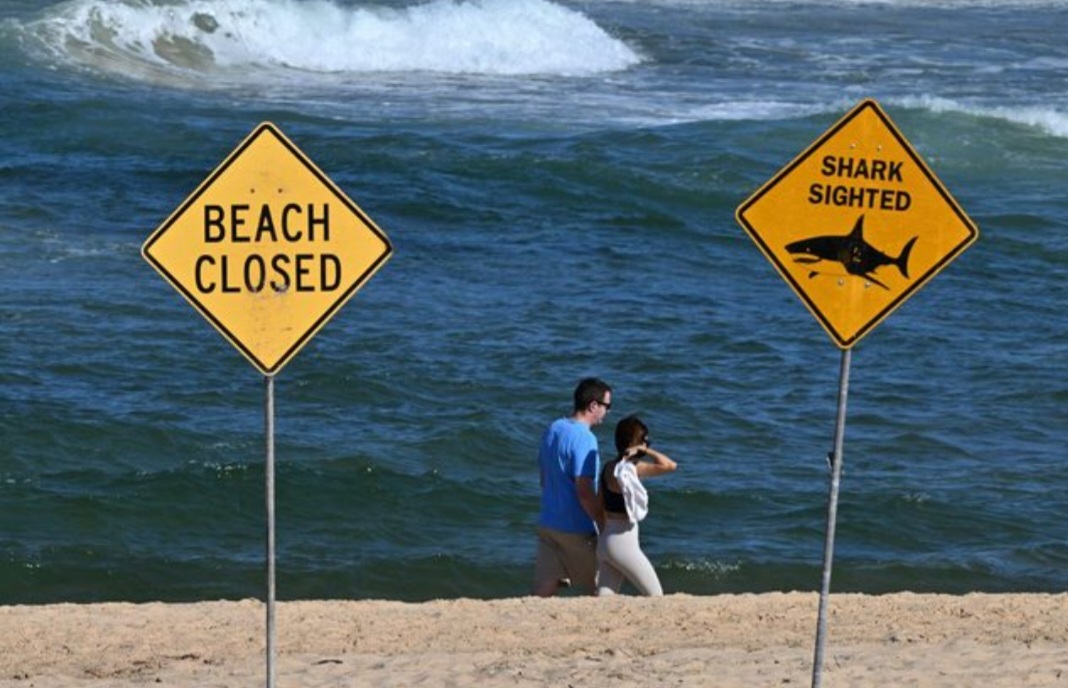 Screenshot_20260124_222943_Facebook