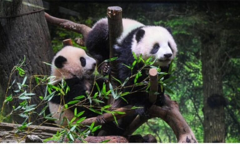 Screenshot_20260126_205016_Facebook