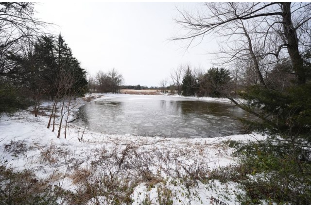 Screenshot_20260128_211244_Facebook