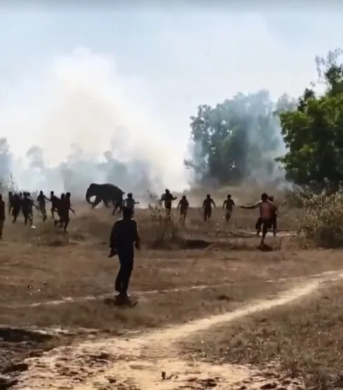 a1ac1835-2ab3-471a-ae25-d713c2c16742