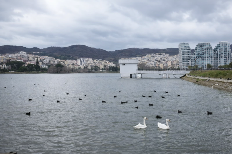 adfd91df-eb5c-4e07-87f3-b14dcb0f5c37