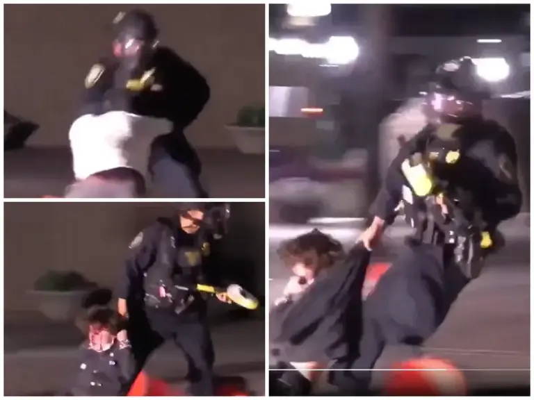 image-1768385859204 (1)