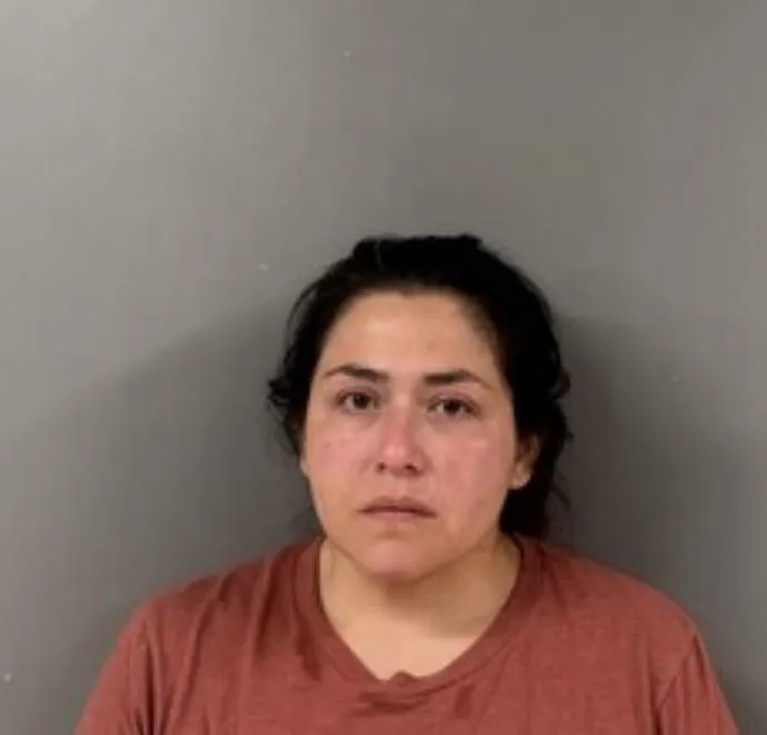 mom-charged-child-picks-gun-1051248019